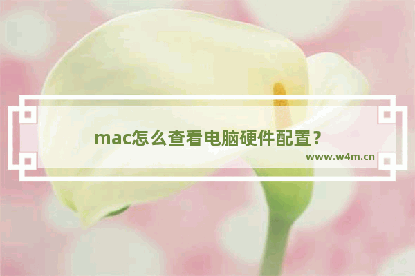 mac怎么查看电脑硬件配置？