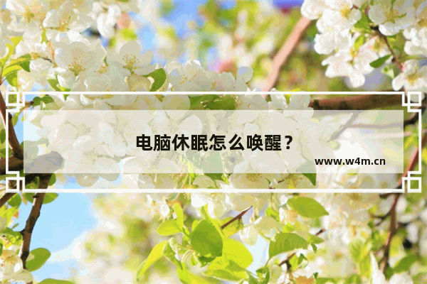 电脑休眠怎么唤醒？