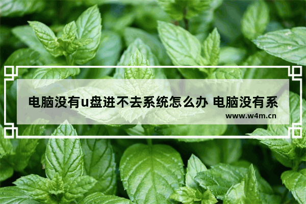 电脑没有u盘进不去系统怎么办 电脑没有系统了开不了机怎么办