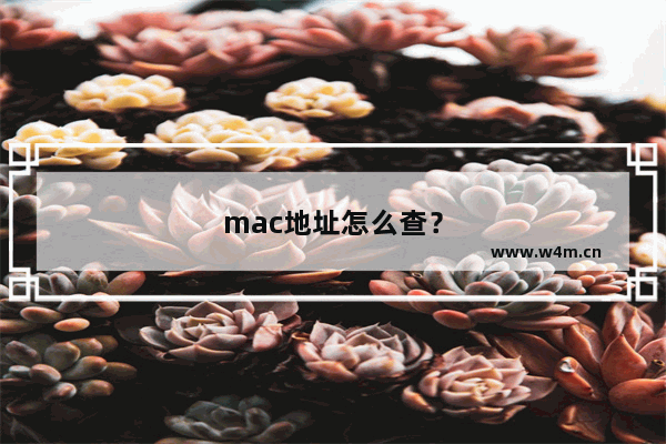 mac地址怎么查？