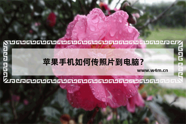 苹果手机如何传照片到电脑？