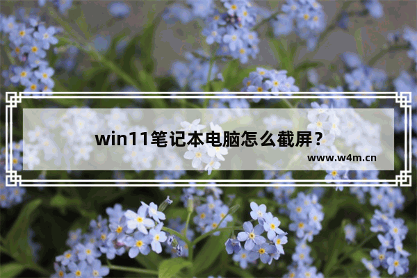 win11笔记本电脑怎么截屏？