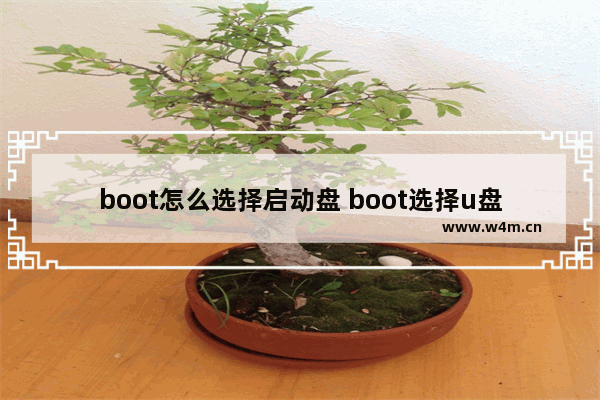 boot怎么选择启动盘 boot选择u盘启动