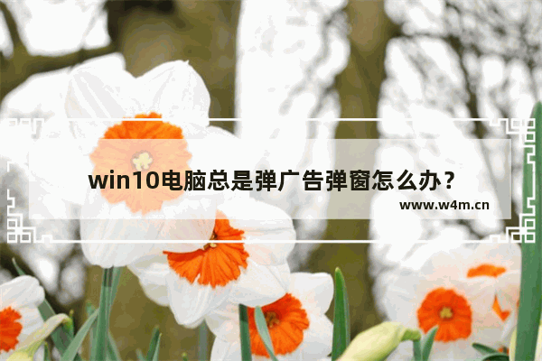 win10电脑总是弹广告弹窗怎么办？