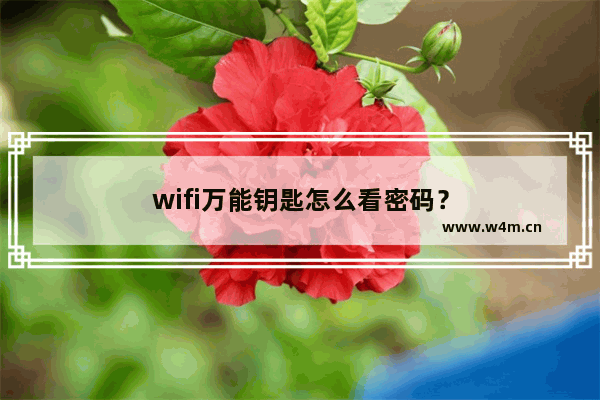 wifi万能钥匙怎么看密码？