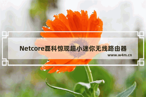 Netcore磊科惊现超小迷你无线路由器