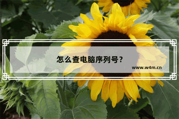 怎么查电脑序列号？