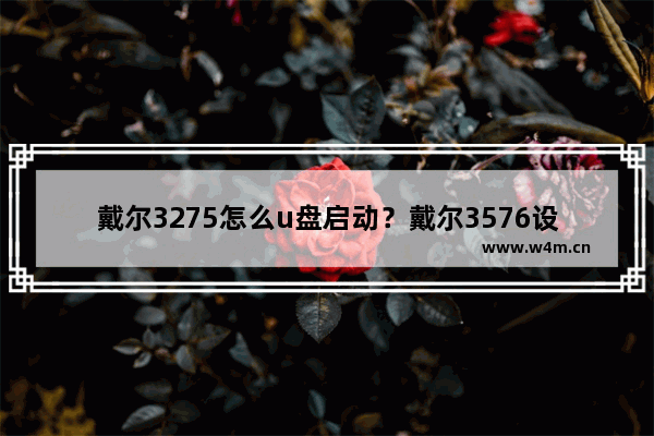 戴尔3275怎么u盘启动？戴尔3576设置u盘启动？