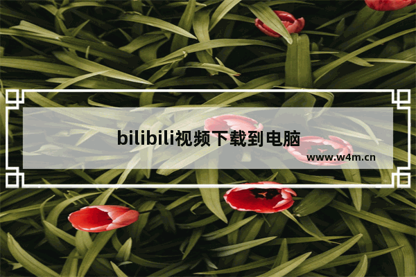 bilibili视频下载到电脑