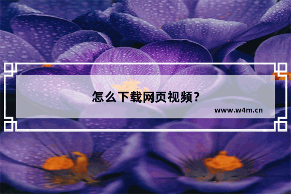 怎么下载网页视频？