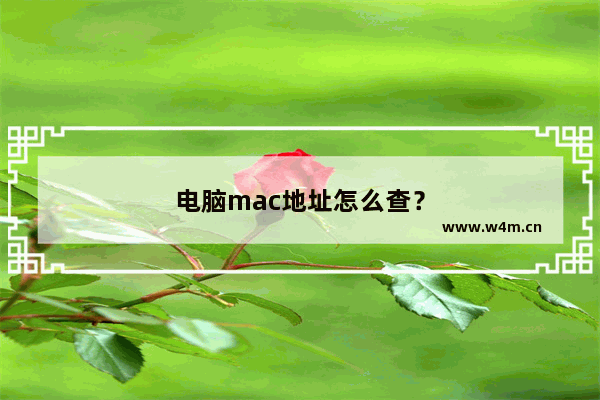 电脑mac地址怎么查？