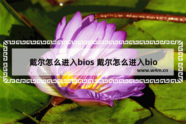 戴尔怎么进入bios 戴尔怎么进入bios改启动方式