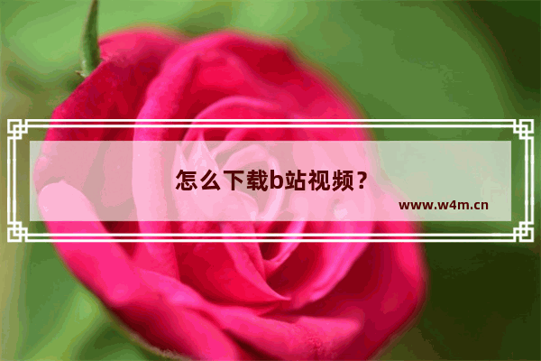 怎么下载b站视频？