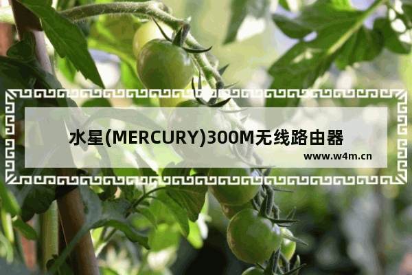 水星(MERCURY)300M无线路由器设置上网方法