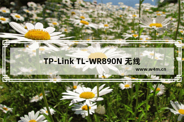 TP-Link TL-WR890N 无线路由器上网设置