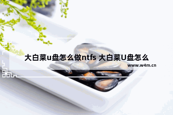 大白菜u盘怎么做ntfs 大白菜U盘怎么做系统