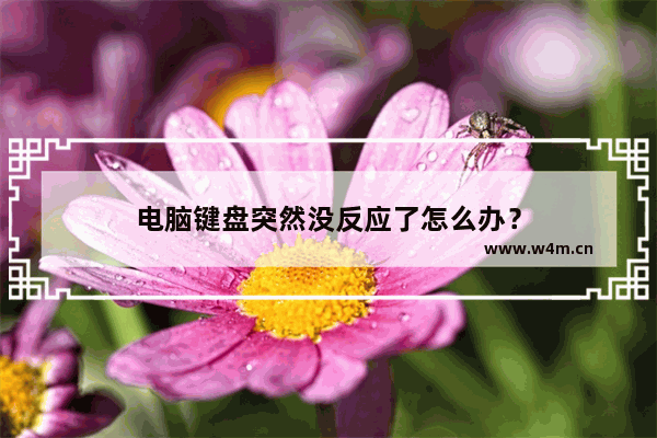 电脑键盘突然没反应了怎么办？