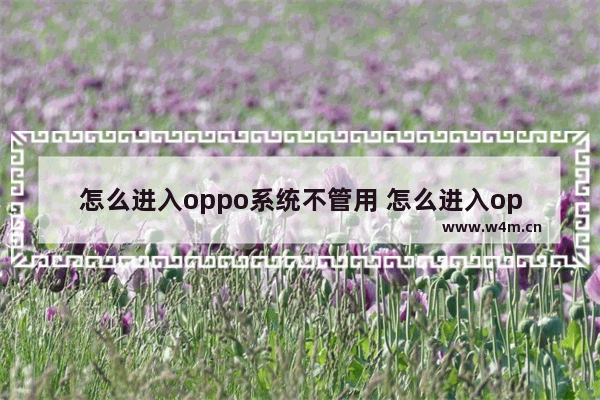 怎么进入oppo系统不管用 怎么进入oppo系统不管用了