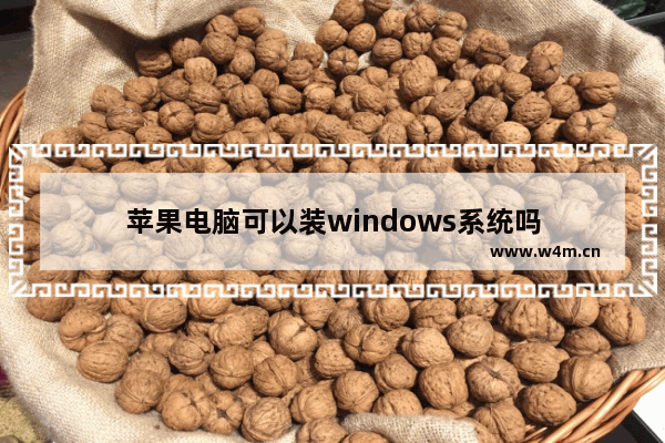 苹果电脑可以装windows系统吗