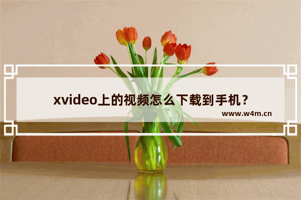 xvideo上的视频怎么下载到手机？