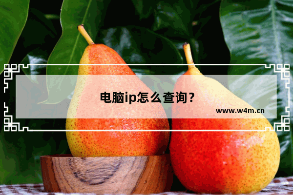 电脑ip怎么查询？