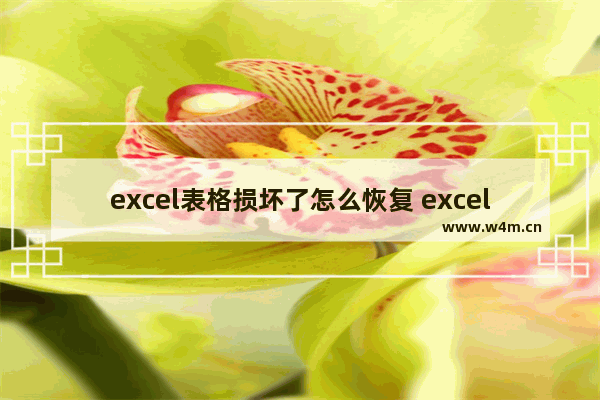 excel表格损坏了怎么恢复 excel表格损坏怎么恢复数据xlsx