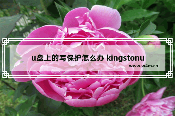 u盘上的写保护怎么办 kingstonu盘写保护怎么办