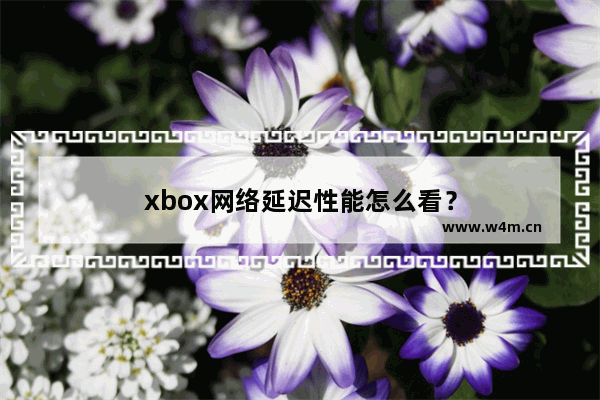 xbox网络延迟性能怎么看？