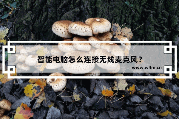 智能电脑怎么连接无线麦克风？