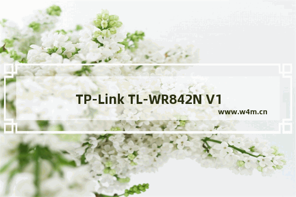 TP-Link TL-WR842N V1~V3 无线路由器网速限制