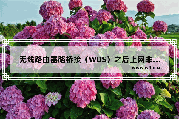 无线路由器路桥接（WDS）之后上网非常慢怎么办？