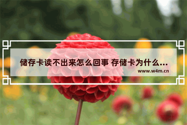 储存卡读不出来怎么回事 存储卡为什么读不出来