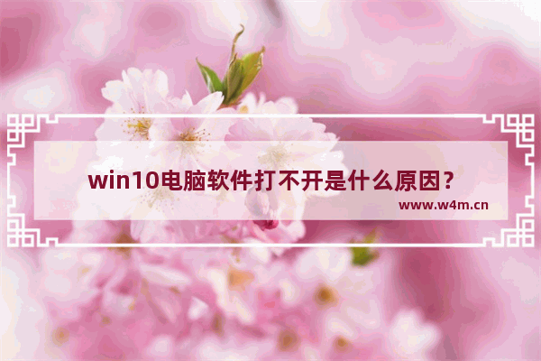 win10电脑软件打不开是什么原因？