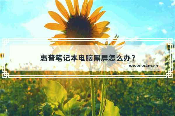 惠普笔记本电脑黑屏怎么办？