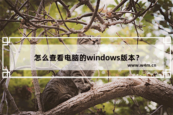 怎么查看电脑的windows版本？