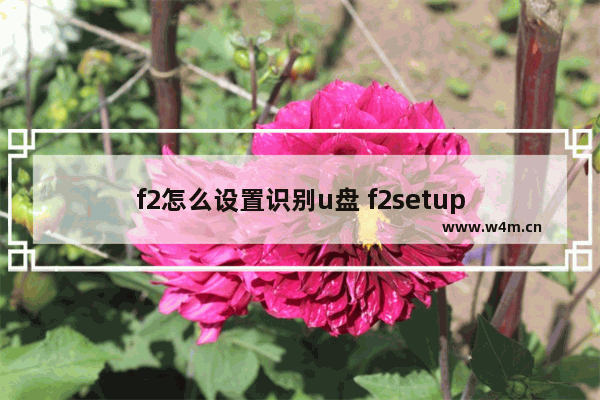 f2怎么设置识别u盘 f2setup