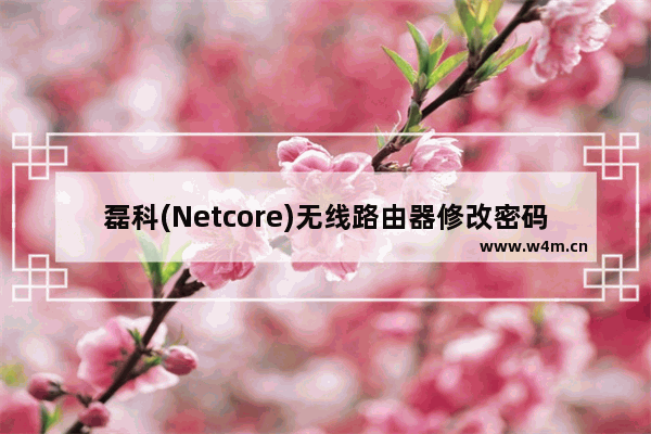 磊科(Netcore)无线路由器修改密码详细操作步骤