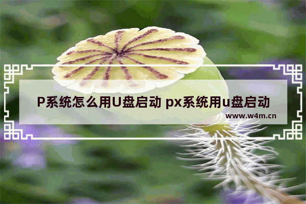 P系统怎么用U盘启动 px系统用u盘启动