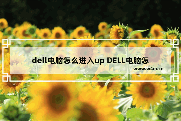 dell电脑怎么进入up DELL电脑怎么进入PE