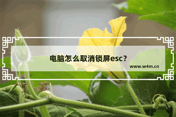 电脑怎么取消锁屏esc？