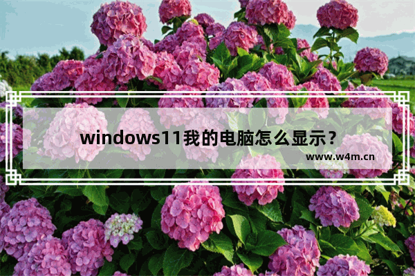 windows11我的电脑怎么显示？