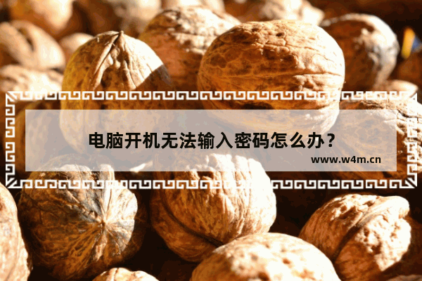 电脑开机无法输入密码怎么办？