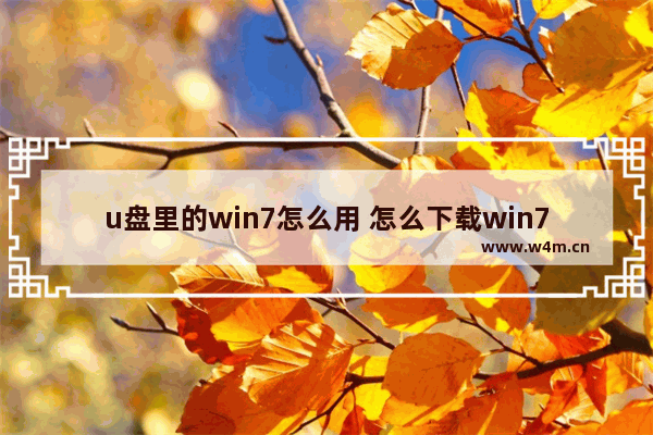 u盘里的win7怎么用 怎么下载win7到u盘