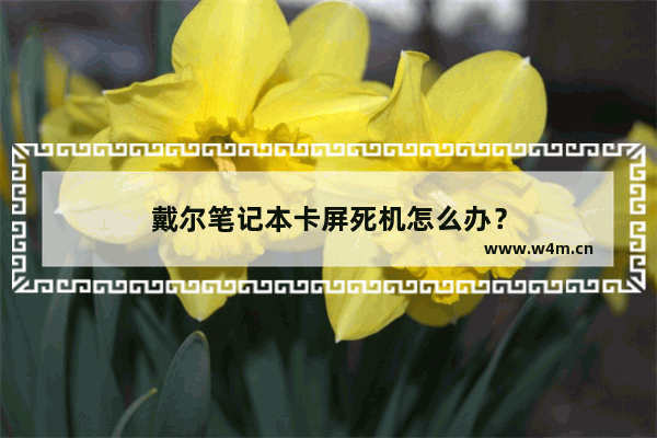 戴尔笔记本卡屏死机怎么办？