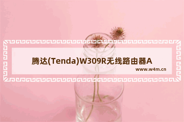 腾达(Tenda)W309R无线路由器ADSL拨号上网设置方法