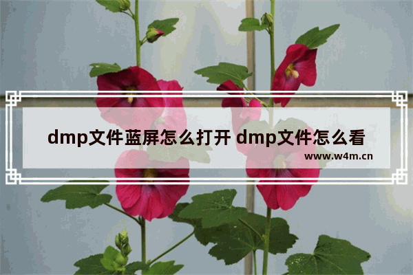 dmp文件蓝屏怎么打开 dmp文件怎么看蓝屏代码