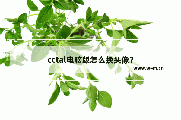 cctal电脑版怎么换头像？