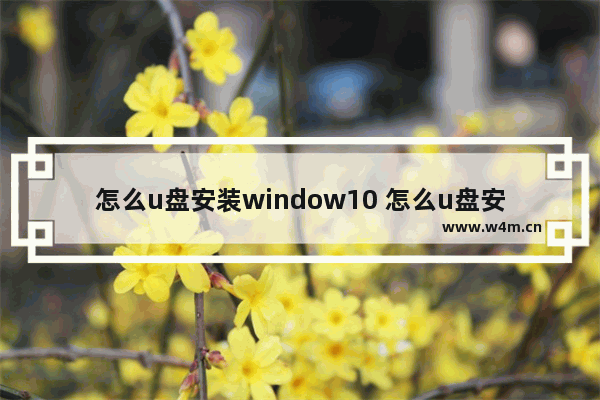 怎么u盘安装window10 怎么u盘安装系统win10系统