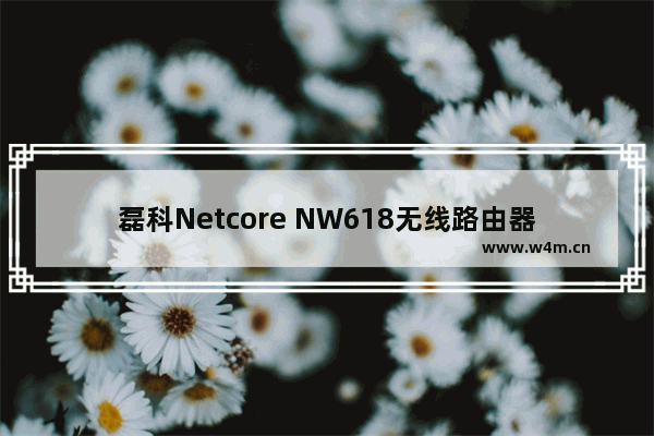 磊科Netcore NW618无线路由器设置方法