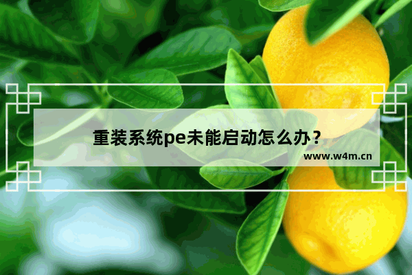 重装系统pe未能启动怎么办？